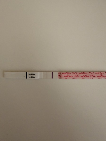 IVF May 2026 - Transfers