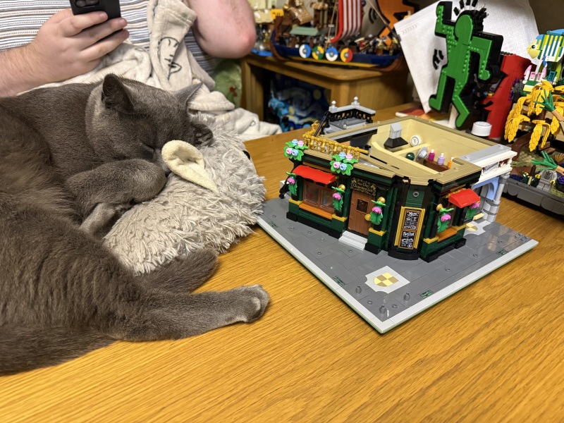 Get A Compass! The Excellent Cats embrace a new rallying cry