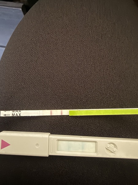 Ovulation test advice please