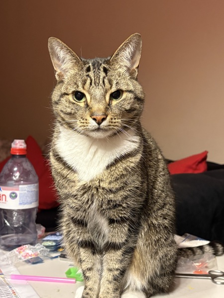 Thoughts on Edith?