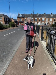 Labour scrambles for candidates to avoid local elections bloodbath
