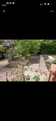 Help on what to plant