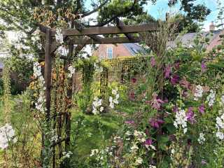 How to manage gardening with disabilities