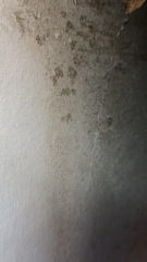 Mould in new flat with young children, what else can I do?