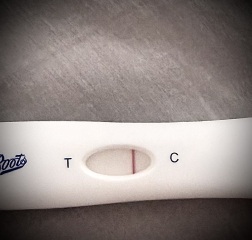Can anyone help me interpret this early pregnancy test result?