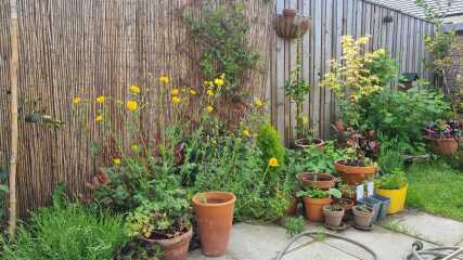What are you up to today if you have a chronic illness Thread 8.. plodding on gently...