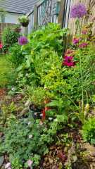 What are you up to today if you have a chronic illness Thread 8.. plodding on gently...