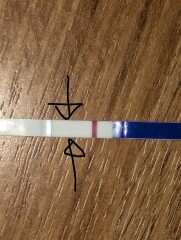 11dpo line eyes