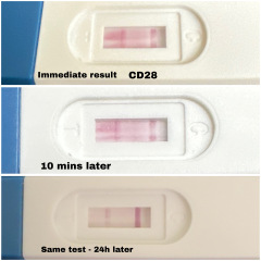 BFP or faulty test?