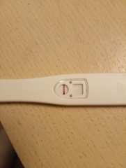Pregnancy test