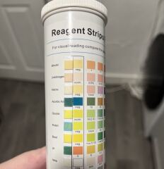 22 weeks pregnant and +++ protein in urine as well as pain