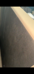 ? bed bugs...freaking out