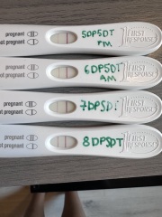 Anyone else in the two week wait after IVF transfer?