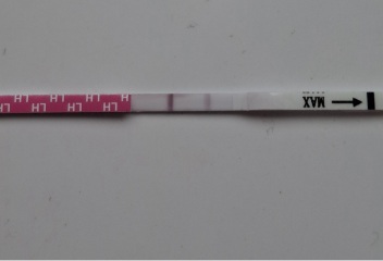 OPK Help