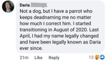 Watch in real time as Trans Reddit turns on one of it's own for suggesting that maybe they are biological men and arguing they are not makes them look unstable.