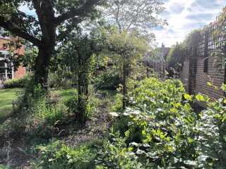 How to manage gardening with disabilities