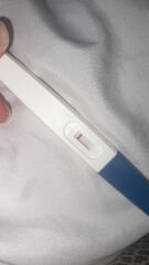 Pregnancy test
