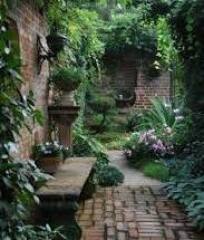 Ideas for planting a small sunken garden with limited light