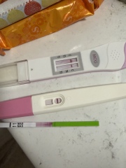 Can anyone help interpret these ovulation and pregnancy test results?