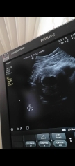 Due December 2026 (part 2)