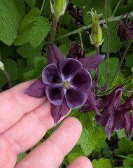 Year Round Nigel Slater discussion thread - Part 4