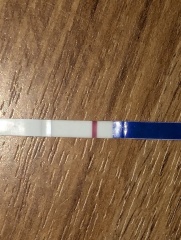 11dpo line eyes