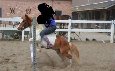 Can stables weigh my daughter rather than accept my word?