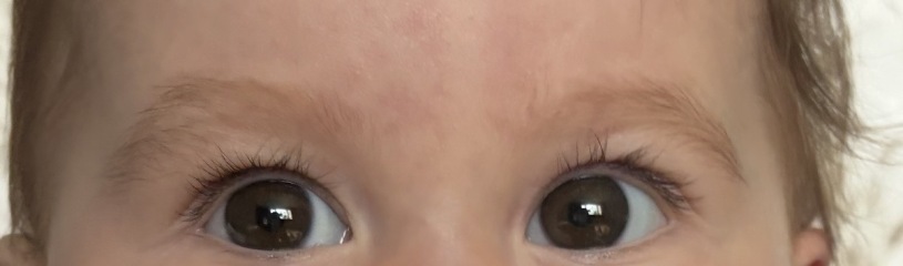 Anyone else’s little one have particularly bushy eyebrows?