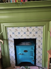 Electric Fire?