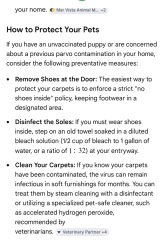 Keeping a new puppy safe from parvo before full vaccinations