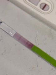 Can anyone help interpret these ovulation and pregnancy test results?