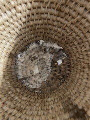 AIBU to step back if my elderly MIL refuses basic hygiene?