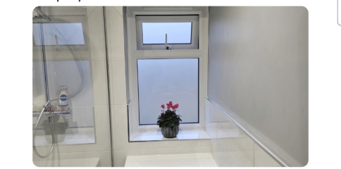 Bathroom windows and cat