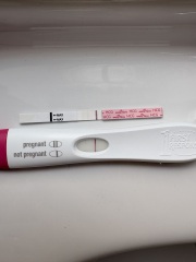 Does this pregnancy test progression look normal or suggest a chemical?