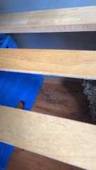 Mould in new flat with young children, what else can I do?