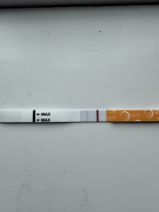 Does this pregnancy test progression look normal or suggest a chemical?