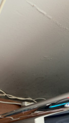 Mould in new flat with young children, what else can I do?