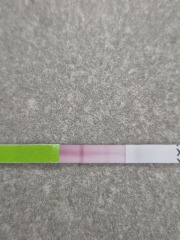 Possible faint positive at 10 DPO or dye run on test?