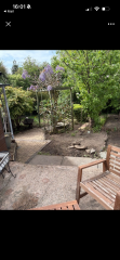 Help on what to plant