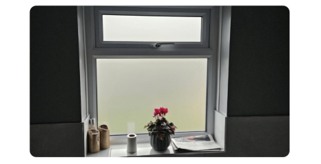Bathroom windows and cat