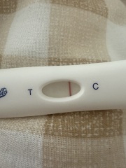 Can anyone help me interpret this early pregnancy test result?