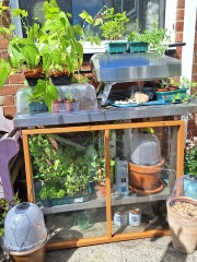 Year Round Nigel Slater discussion thread - Part 4