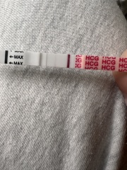 8dpo - indent or positive?