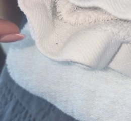 ? bed bugs...freaking out