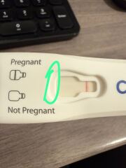 Inside a clearblue test?