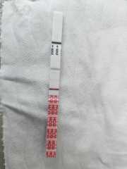 Is this positive to light for 4 weeks and 2 days?