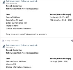 Any medical person could explain please these results?