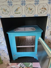 Electric Fire?