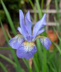 Year Round Nigel Slater discussion thread - Part 4