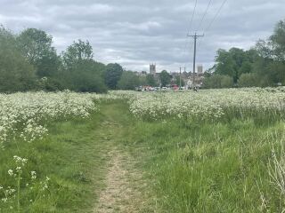 Year Round Nigel Slater discussion thread - Part 4
